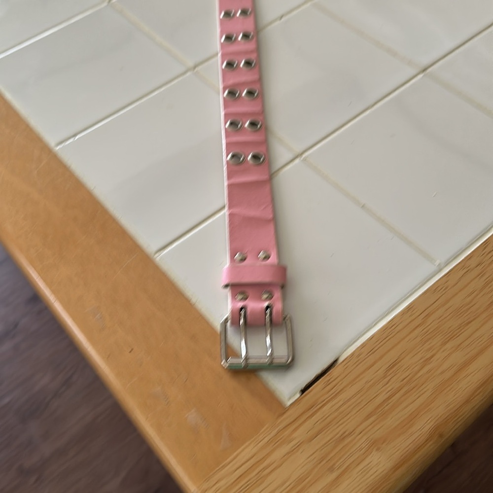 Pink Belt with Silver Accents